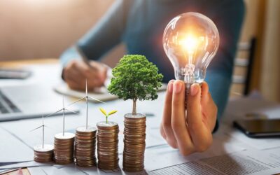Economia de energia: saiba tudo sobre fontes renováveis!